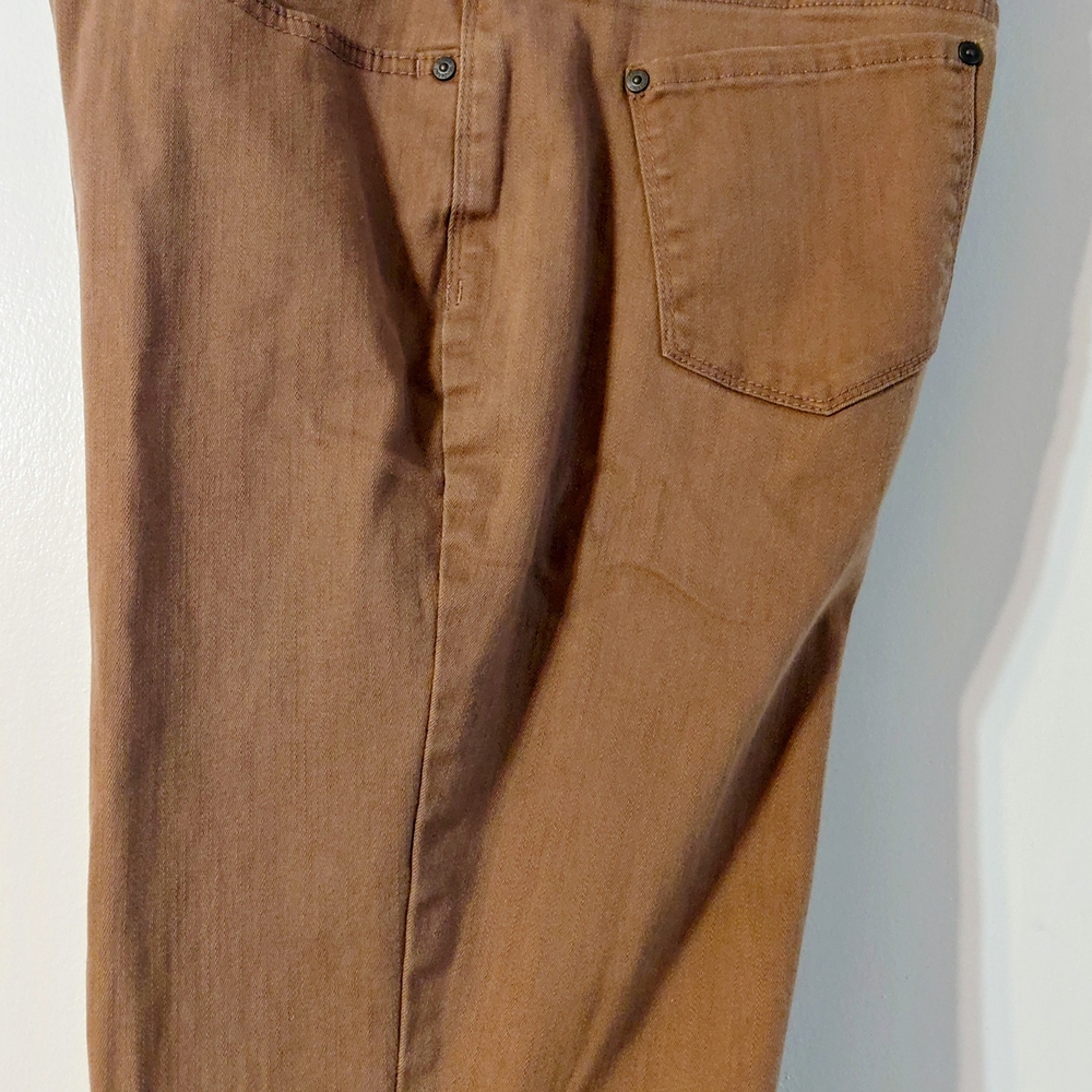 Gloria Vanderbilt Tan Slimming Pants Missy Short 12